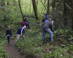 group removing plants