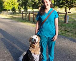 nurse and doctor dog