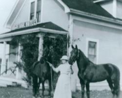 cottage hotel