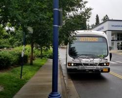 Electric Bus on Route 4