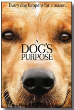 A Dog's Purpose Movie