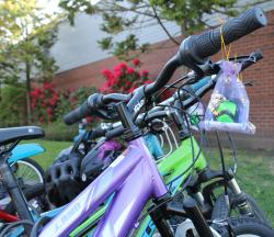 Bicycle Fairy