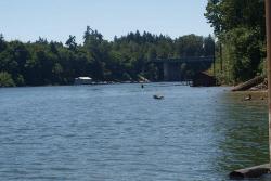 Willamette River