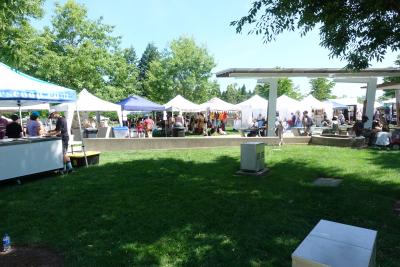 Wilsonville Festival of Arts