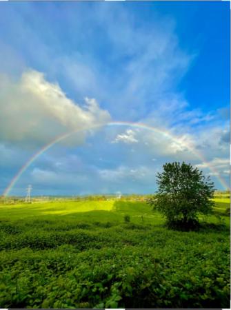 Rainbow over Wilsonville, taken by Ramshi Hamza