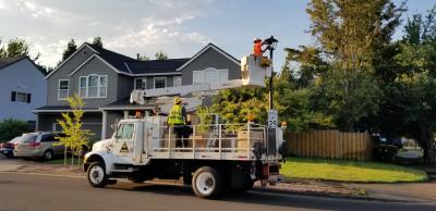 crewman changing out a light in residential neighborhood