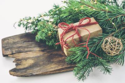 winter plank with pine and present