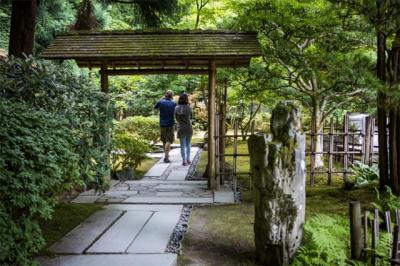 Japanese Garden