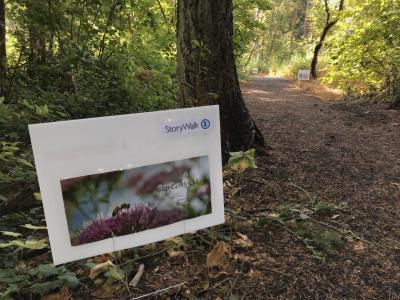 StoryWalk path in park