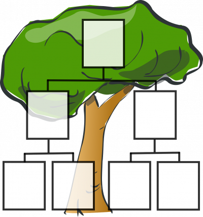 genealogy family tree diagram
