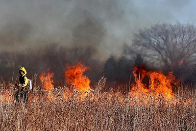 firefighter in field on fire