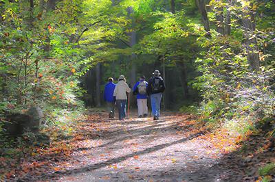 people walking in nature park