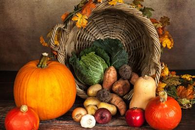 pumpkin harvest