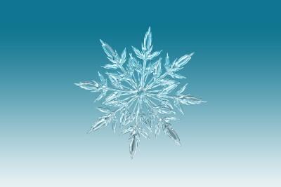 blue snowflake