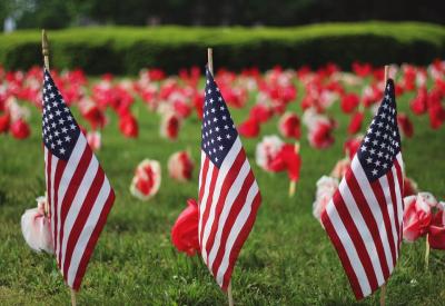 field with American flags and flowers