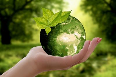 hand holding a glass globe with a leaf