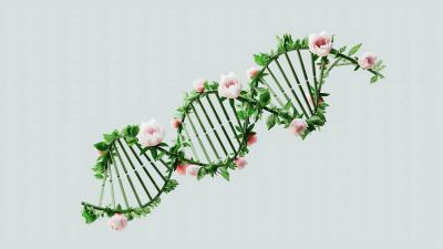 an illustration of a DNA helix interwoven with flowers