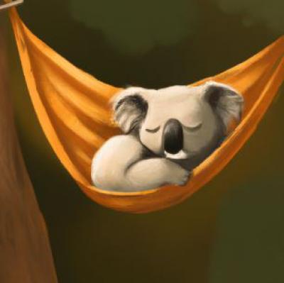 koala sleeping in a hammock