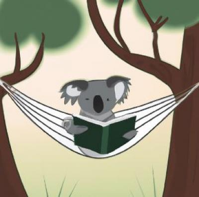 koala reading in a hammock