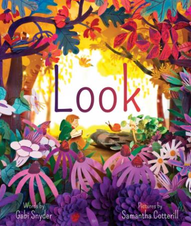 cover of book Look