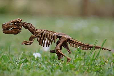 toy dinosaur skeleton standing in the grass