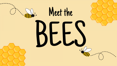 Meet the Bees text with cartoon bees flying around honeycomb