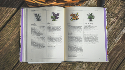 plant identification book