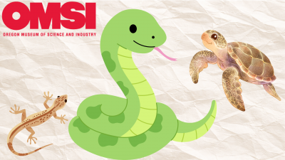 drawings of salamander, snake, and turtle on beige rough paper