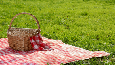 picnic basket on red and white checkered blanket on green lawn