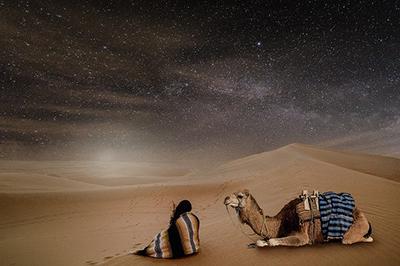 desert scene with camel and person