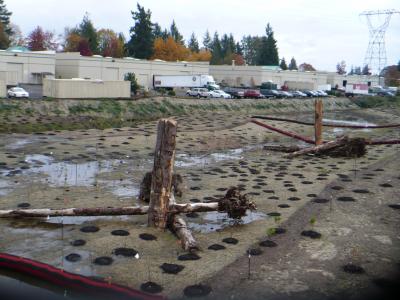restoration site
