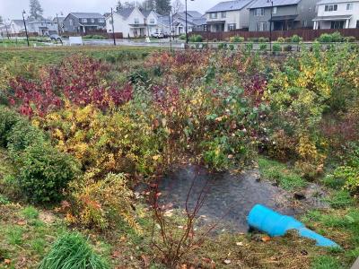 stormwater detention pond