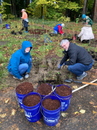 hedgerow planting