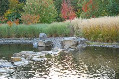 stormwater pond