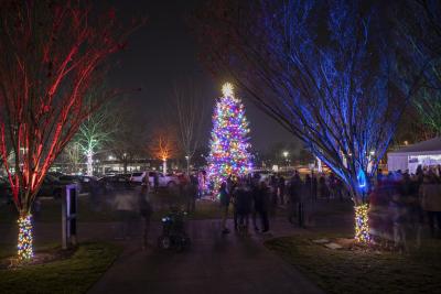 tree lit with lights