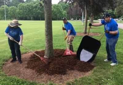 volunteers spreading bark at Memorial Park