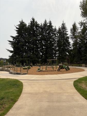 View of frog pond park and background trees