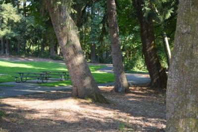 Trees and Sidewalk in Boone Ferry Park