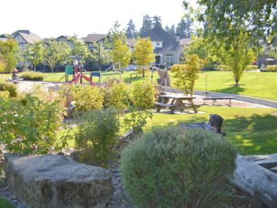 park overview