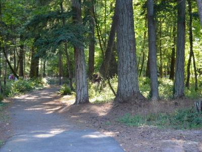 trail