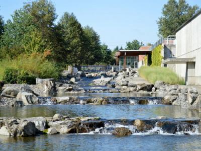 water feature