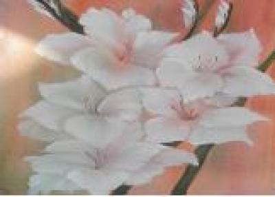 Gladiolas painting