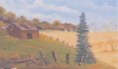 Barns with Cedar