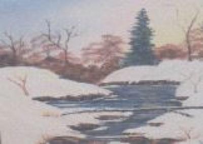 Snowy Creek