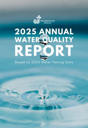 Annual Water Quality Report cover 