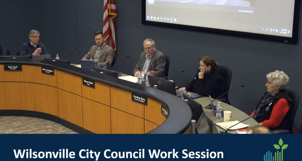 YouTube screen capture of a City Council meeting