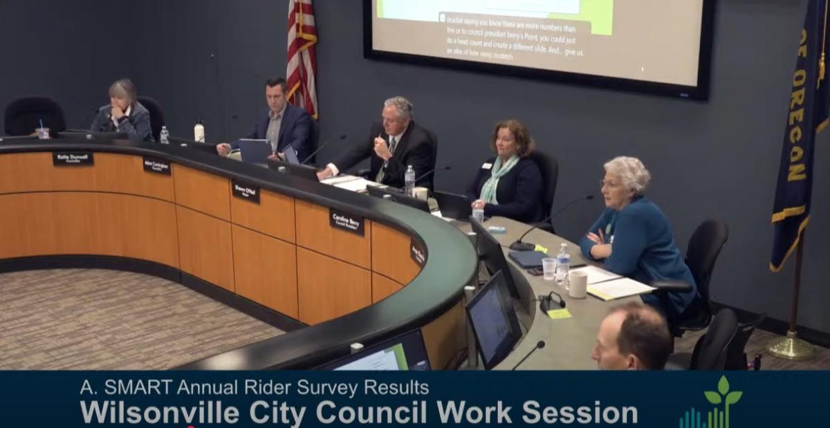 YouTube screen capture of a City Council meeting