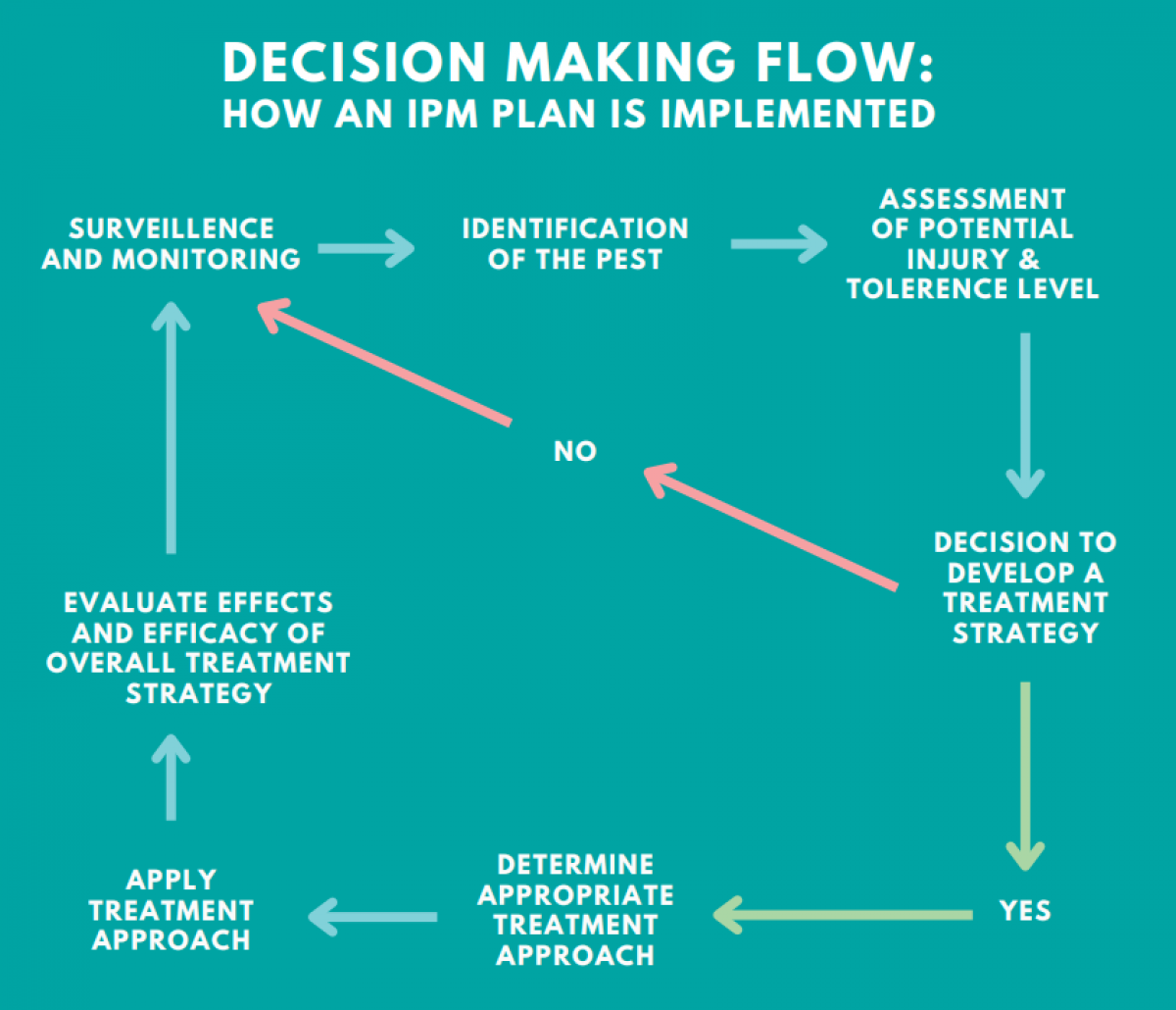 IPM process