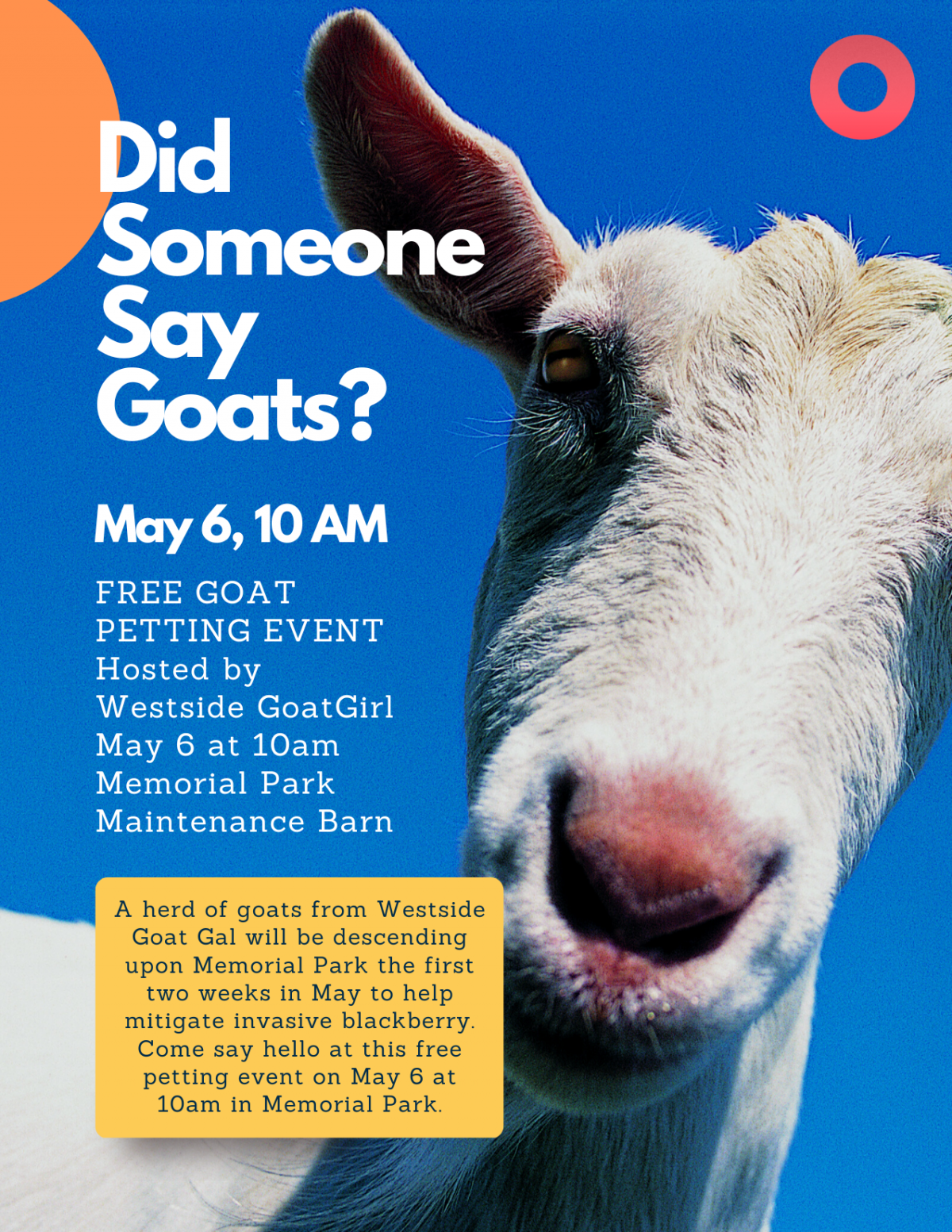 goat petting flyer