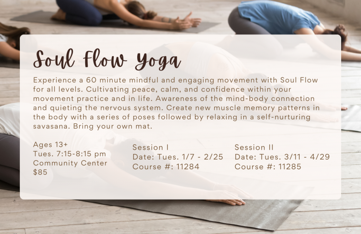 Soul Flow Yoga Image